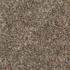 Home Decorators Collection Stryker Court - Color Greystone Texture 12 Ft. Carpet(1080 Sq. Ft./Roll) -Floor Lux Shop 1a178440e6cadfd0ac3e4a1b17edfbb0 1800x1800