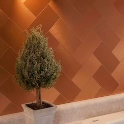 Acp A53 Aspect -Floor Lux Shop 26852555 136d 40d0 b4cf 24e668749d53.cd85dcf910e245d140bff04197dbc62b 1800x1800