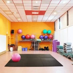 12PCS Mat Foam Exercise Mats, Gym Flooring Mat, Interlocking Puzzle EVA Floor Tiles, Non Slip Rubber Cushion For Home Workout, Yoga Matting -Floor Lux Shop 57517771 a03b 4e13 8206 f1612bca562b.fe05725bad9c4e6d572cdef68e0150c3 1800x1800