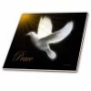 3dRose Peace Dove - Black - White -Gold - Bird Art - Ceramic Tile, 8-inch -Floor Lux Shop 6398439d a401 496e aa5a 6dcfc964fd10 1.dba3305049b0b407868bad6879ffd767 1800x1800