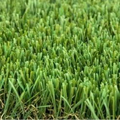 COLOURTREE LABRADOR 45 Artificial Grass Synthetic Lawn Turf Sold By 6 Ft. X 13 Ft. -Floor Lux Shop a616dbf267cbb58ba32f9a8acb83f807 1800x1800